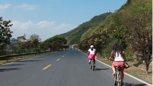 广州白云悠闲骑行,寮采村1天|世外桃源赏百亩花海